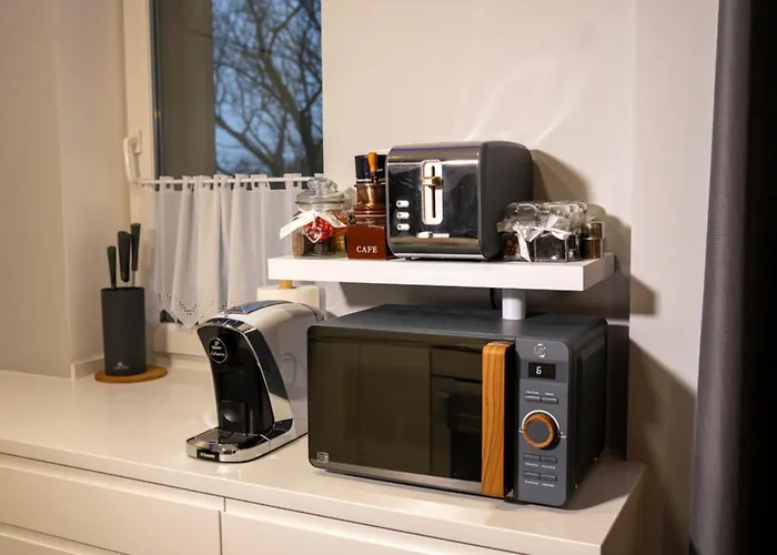 Apartament Augustow Swan