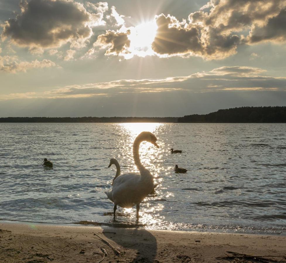 Apartment Swan *