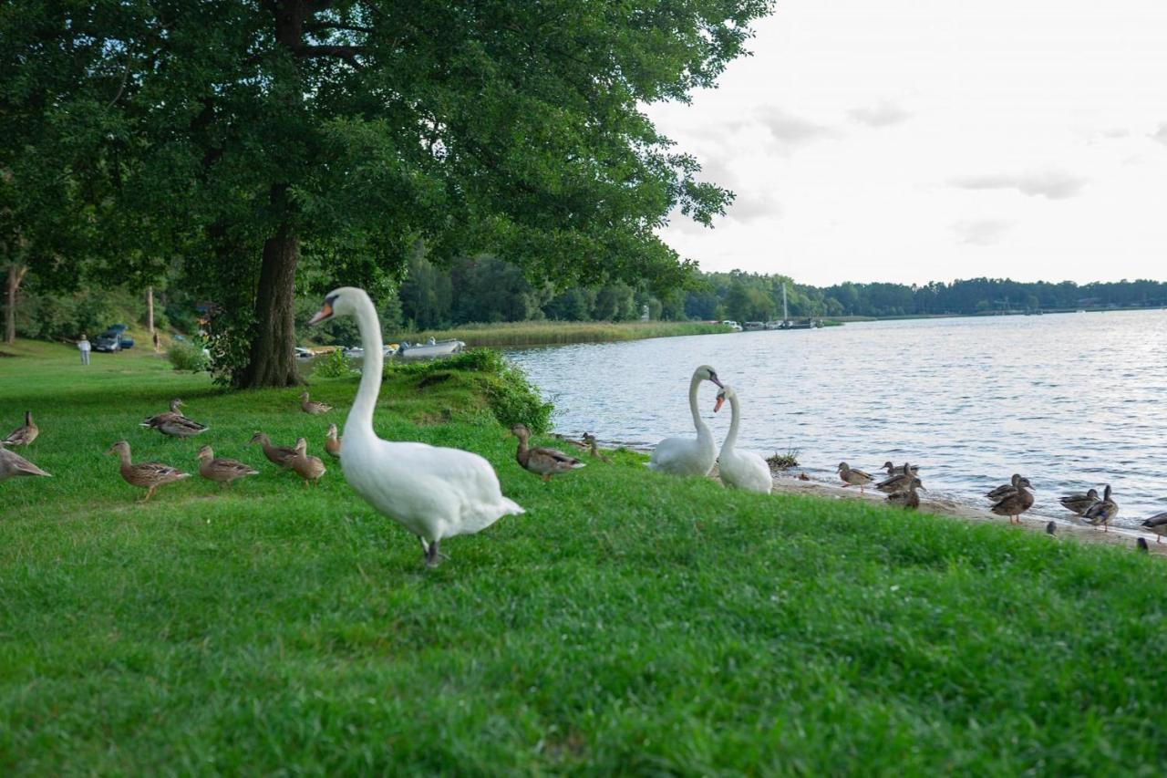 Swan Apartment